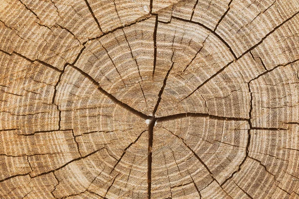 Fondo in legno A — Foto Stock