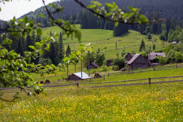 Casas de madeira em umas colinas de grama — Fotografia de Stock