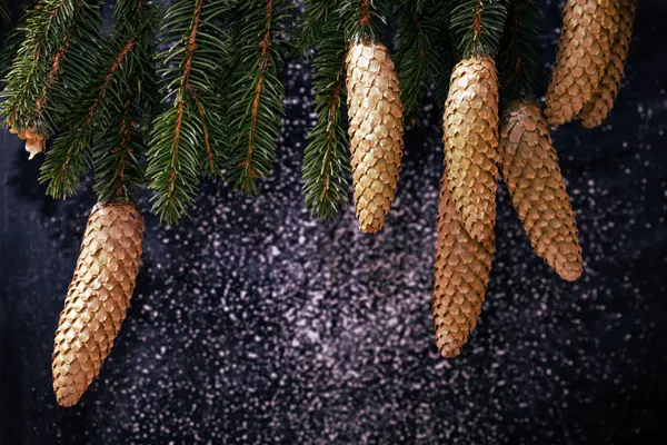 Chalkboard and branches of fir with cones — Stock Photo, Image