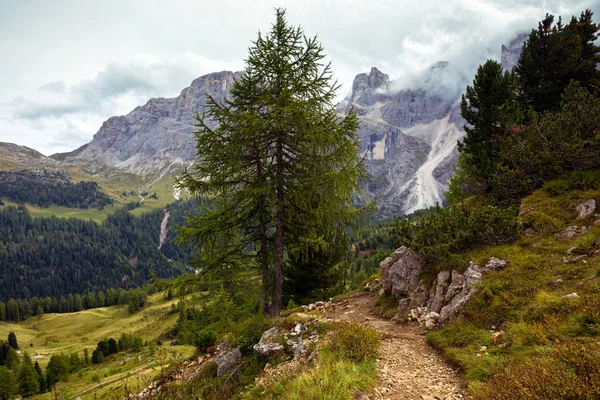 Sendero en las montañas — Foto de Stock