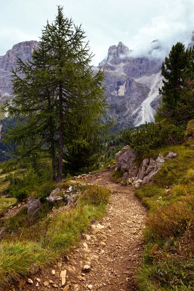 Hiking trail in the mountains — Stock Photo, Image