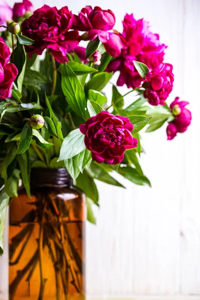 Peonies a a — Stock Photo, Image