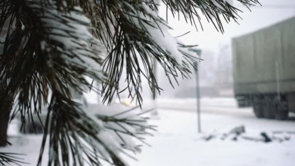 Aghi di abete coperti di neve e auto sfocate su una strada — Video Stock