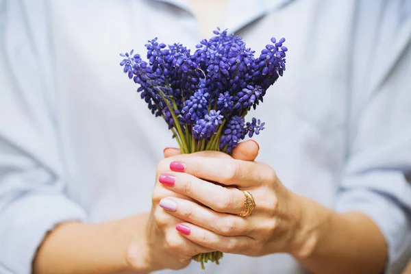 Hyacinthus um um — Fotografia de Stock