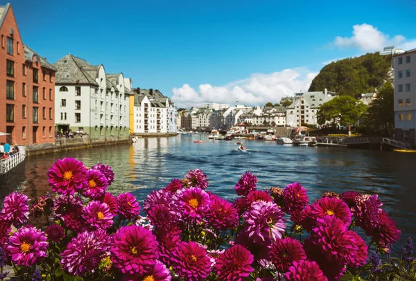 Flores de alesund — Fotografia de Stock