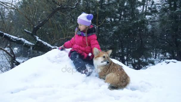 Αστείο corgi χνουδωτό κουτάβι με το μικρό κορίτσι σε εξωτερικούς χώρους κατά τη διάρκεια της ημέρας του χειμώνα — Αρχείο Βίντεο