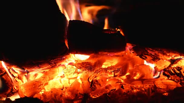 Καίγοντας κούτσουρα στο φούρνο κοντινό βίντεο — Αρχείο Βίντεο