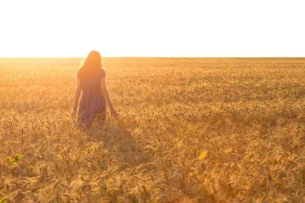 Девушка на поле — стоковое фото