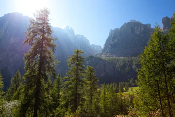 Dağlık bir — Stok fotoğraf