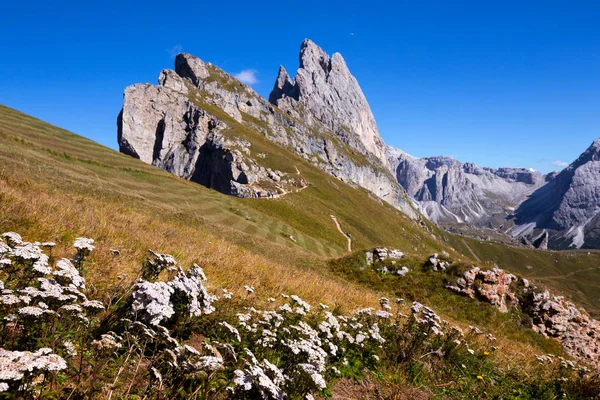 Seceda. Dolomites un — Photo