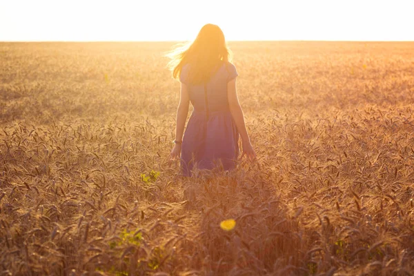 Mädchen auf dem Feld — Stockfoto