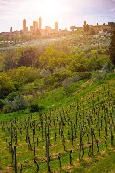 Gamla staden San Gimignano — Stockfoto