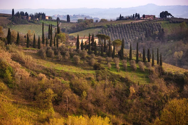 Paisagem típica toscana — Fotografia de Stock