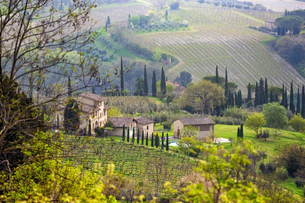 Typical Tuscan landscape Stock Picture