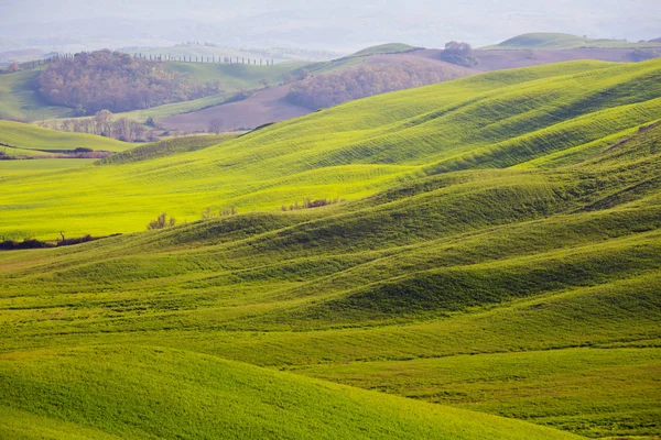 Paisagem típica da Toscana - ondas verdes — Fotografia de Stock