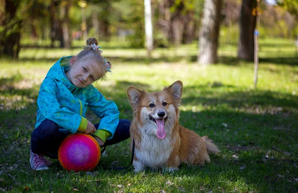 Niña con corgi perro al aire libre — Foto de Stock