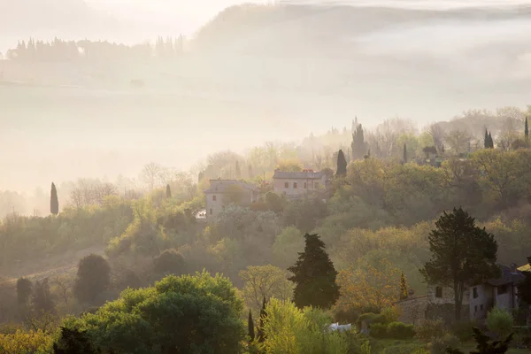 Manhã nebulosa na Toscana — Fotografia de Stock
