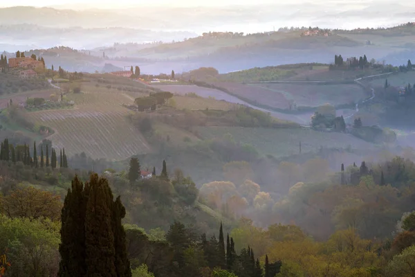 Typisch Toscaanse landschap — Stockfoto