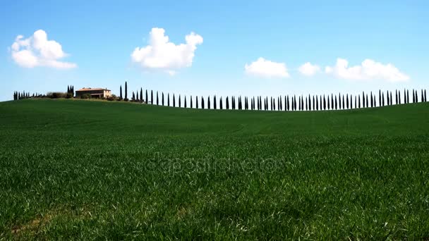 Paisaje toscano con callejón de ciprés en el día soleado — Vídeos de Stock