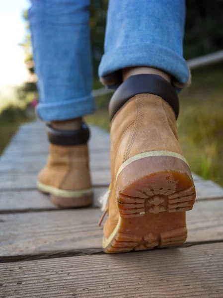 Hiking boots a — Stock Photo, Image