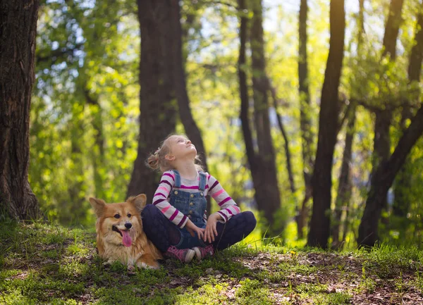 Kind meisje en de hond — Stockfoto