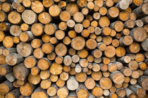 Legno Log sfondo — Foto Stock