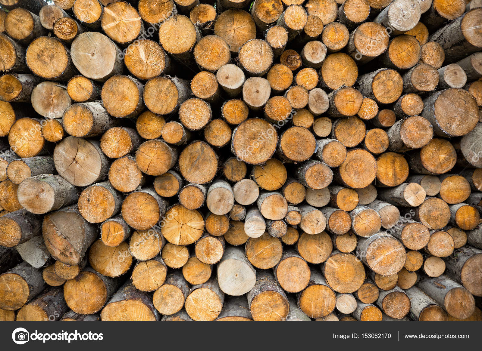 Nền tảng gỗ mang đến một cảm giác ấm áp và gần gũi với thiên nhiên. Hình ảnh về nền tảng gỗ sẽ khiến bạn bị cuốn hút bởi vẻ đẹp tự nhiên và sự đơn giản của chúng.