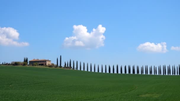 Paisaje toscano con callejón de ciprés — Vídeo de stock