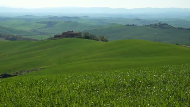典型的なトスカーナの美しい緑の丘を風景します。 — ストック動画