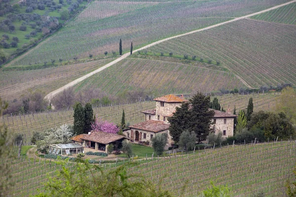 Paisagem típica da Toscana — Fotografia de Stock