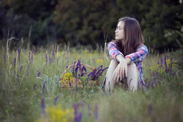 牧草地で美しい少女 — ストック写真
