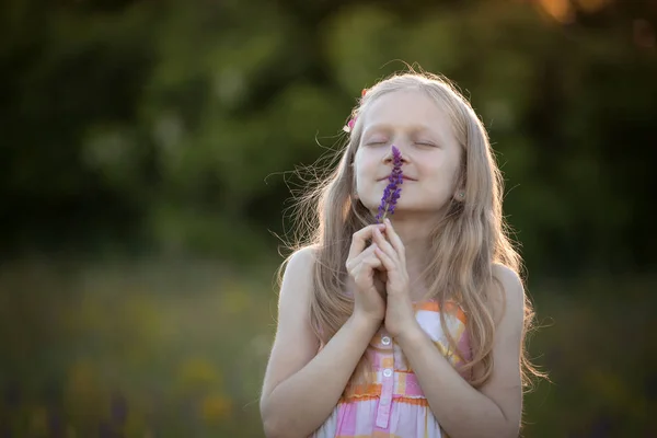 Mooi meisje op de weide — Stockfoto