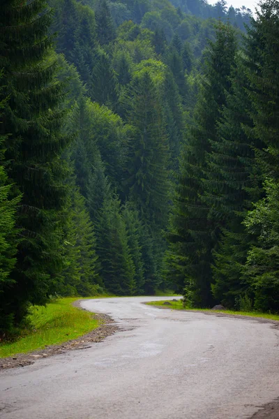 Гірська дорога через ліс — стокове фото