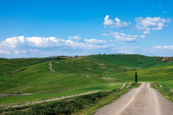 Country road through the hills — Stock Photo, Image