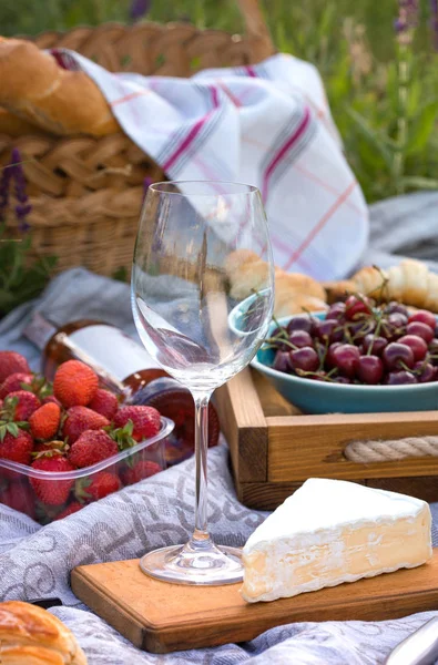 Picknick i ängen — Stockfoto