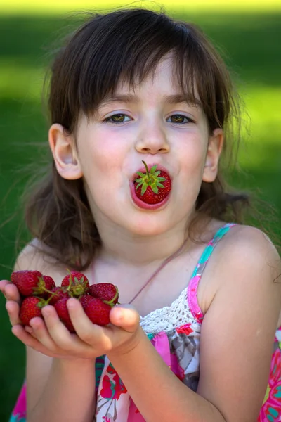 Meisje en aardbei — Stockfoto