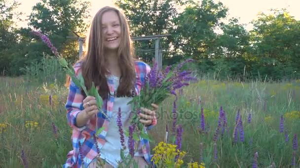 Flicka samlar blommor av salvia på solnedgången tid — Stockvideo