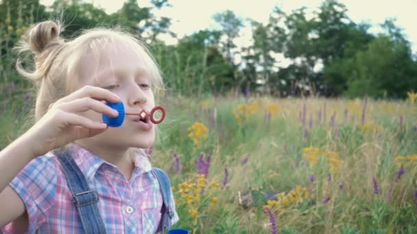 Malá dívka foukání mýdlové bubliny na zeleném trávníku — Stock video