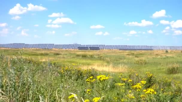 Painéis solares em pé no campo — Vídeo de Stock