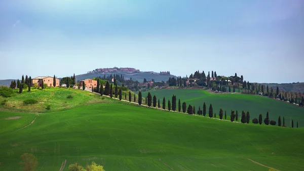 Típico paisaje toscano — Foto de Stock