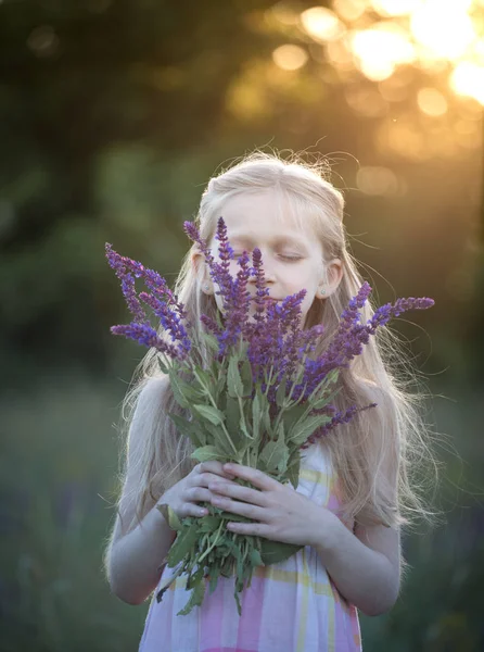 Krásná dívka na louce — Stock fotografie