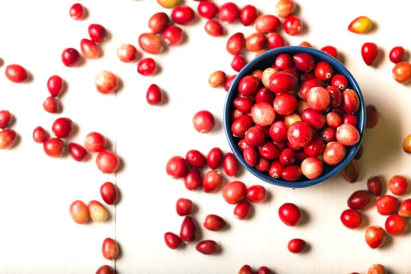 Cranberries em um fundo branco — Fotografia de Stock