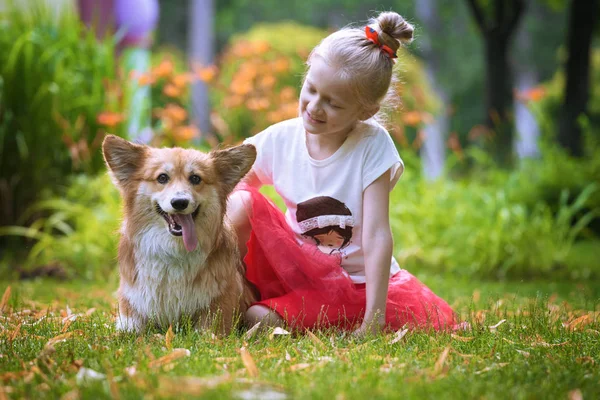 Ragazza e cane — Foto Stock