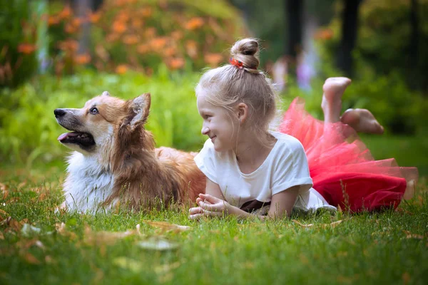 Mädchen und Hund — Stockfoto