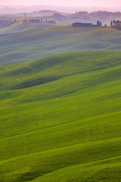 Paisagem típica toscana — Fotografia de Stock