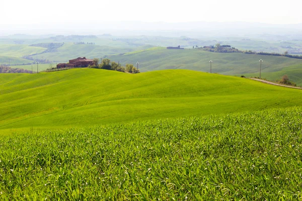 Typická toskánská krajina — Stock fotografie