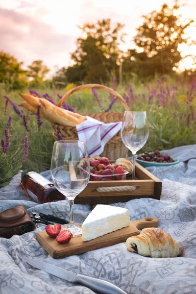 Picknick i ängen — Stockfoto