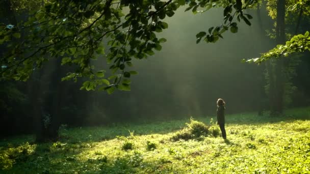 Flicka som står på morgonen skogen efter regn — Stockvideo