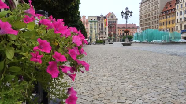 Blick auf den Hauptplatz Rynek der polnischen Stadt wroslaw — Stockvideo