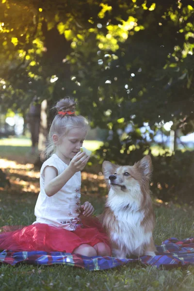 Dívka a pes — Stock fotografie